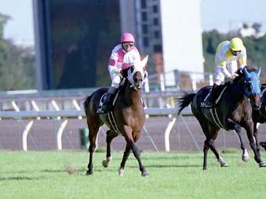 2001/11/04 東京09R