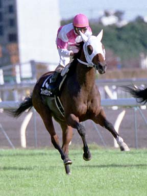 2001/11/04 東京09R