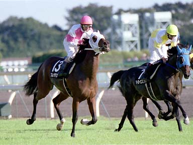2001/11/04 東京09R
