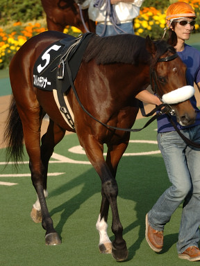 2005/11/05 東京10R