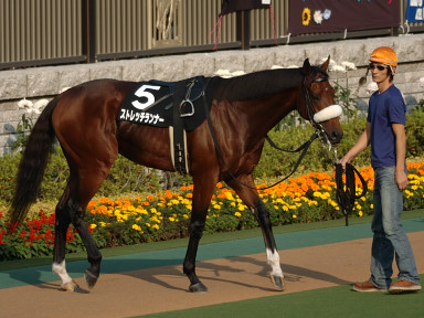 2005/11/05 東京10R