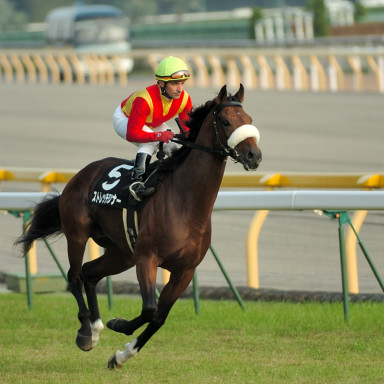 2005/11/05 東京10R