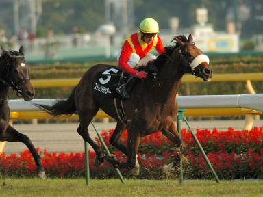 2005/11/05 東京10R