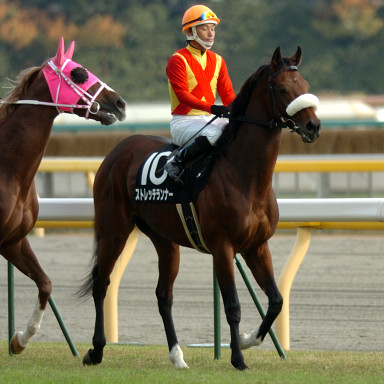 2005/11/20 東京09R