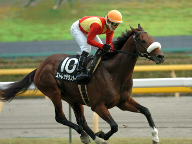2005/11/20 東京09R