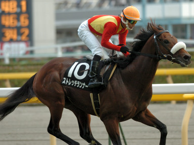 2005/11/20 東京09R