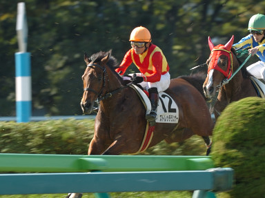 2006/11/12 東京04R