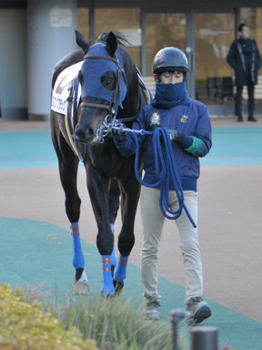 2025/02/22 東京12R