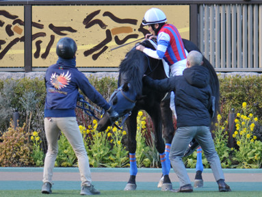 2025/02/22 東京12R
