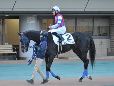 2025/02/22 東京12R