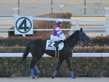 2025/02/22 東京12R