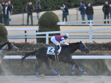 2025/02/22 東京12R