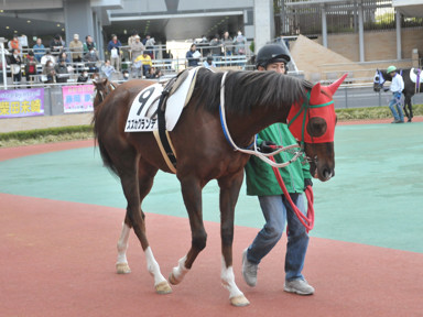 2016/12/10 中京04R