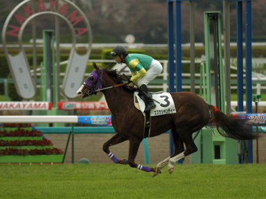 2010/03/28 ’†ŽR08R
