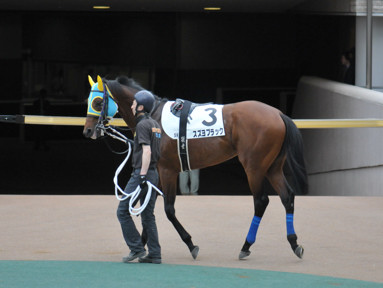 2018/05/04 東京05R