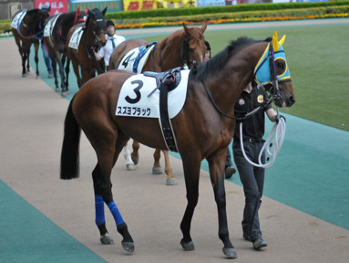 2018/05/04 東京05R