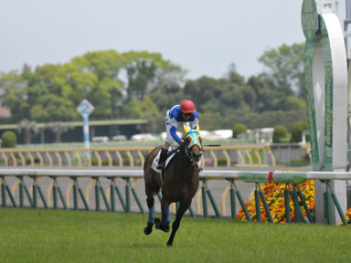 2018/05/04 東京05R