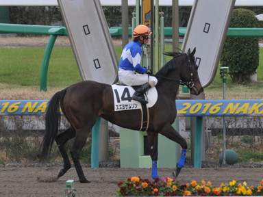 2016/03/12 ���R12R