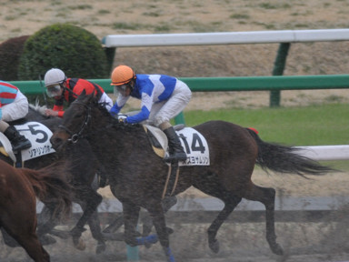 2016/03/12 ���R12R