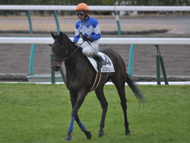 2016/03/12 ���R12R