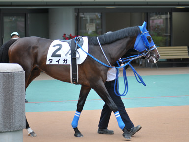 2022/06/12 東京07R