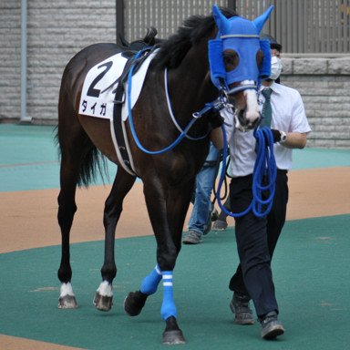 2022/06/12 東京07R