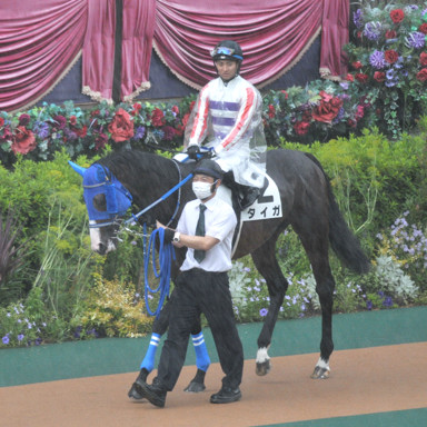 2022/06/12 東京07R