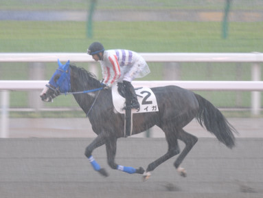 2022/06/12 東京07R