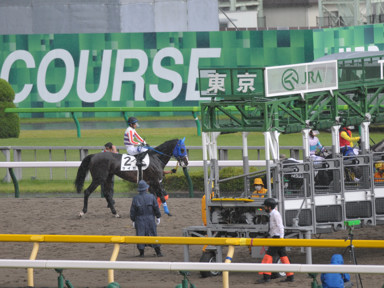 2022/06/12 東京07R