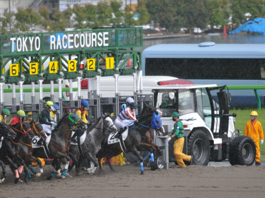 2022/06/12 東京07R