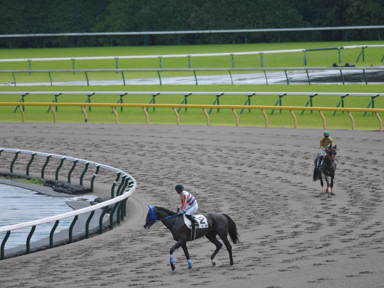 2022/06/12 東京07R