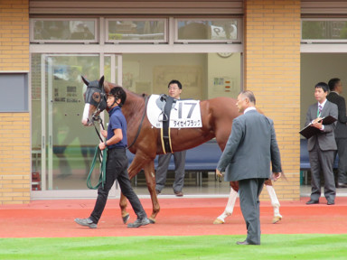 2019/10/27 新潟06R