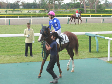 2019/10/27 新潟06R