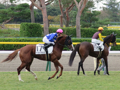 2019/10/27 新潟06R
