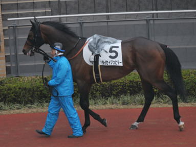 2015/03/29 中京07R