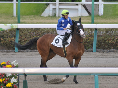 2018/04/07 中山08R