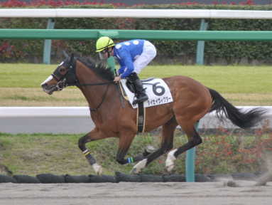 2018/04/07 中山08R