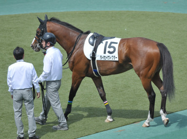 2018/05/12 東京08R