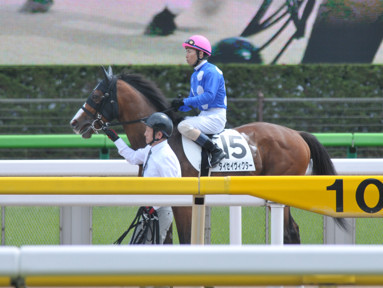 2018/05/12 東京08R