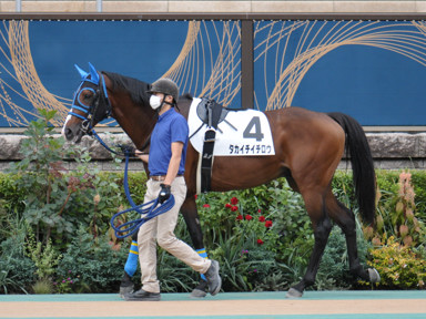 2022/10/08 東京07R