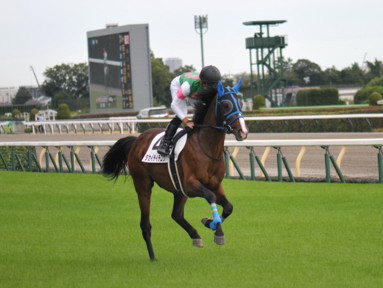2022/10/08 東京07R