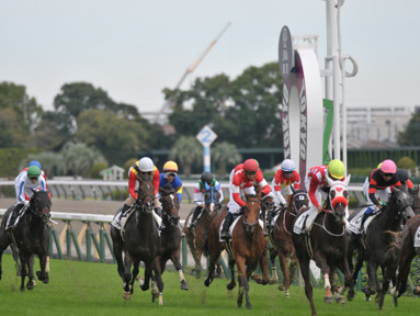 2022/10/08 東京07R