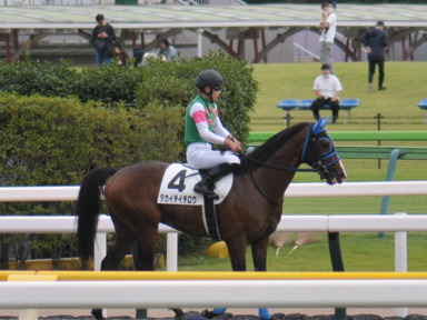 2022/10/08 東京07R