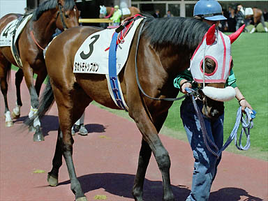 2000/04/01 ���R07R