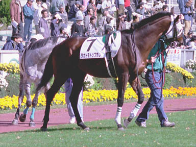 2000/11/11 ����05R