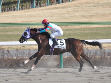 2011/01/23 中山08R