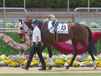 2021/04/11 中山08R