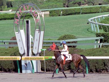 2003/09/27 中山08R