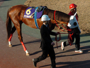 2007/01/31 川崎10R
