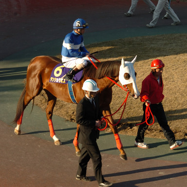 2007/01/31 川崎10R